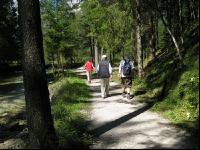 Wandern 18