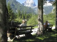 Wandern 19