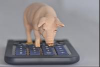 Finances pig 3
