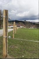 Weidezaun errichten 12