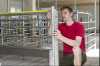 Zuchtschweinestall Bau 2