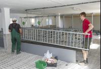 Zuchtschweinestall Bau 7