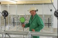 Zuchtschweinestall Bau 20