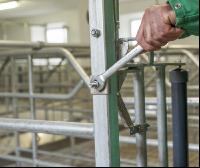 Zuchtschweinestall Bau 23