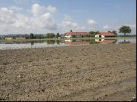 Erdbeeren Hochwasser  
