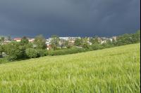 Nach dem Gewitter 2