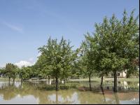 Hochwasser 4