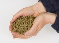Kaninchen vital 4