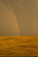 Regenbogen 2