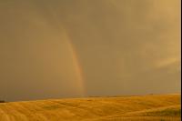 Regenbogen 1