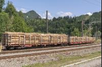 Zug Holztransport 4