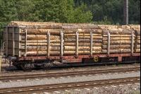 Zug Holztransport 3