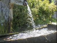 Wasser vom Brunnen 5