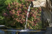 Wasser vom Brunnen 4