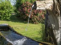 Wasser vom Brunnen 1