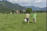 Weide bonitieren 2