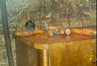 Ratten 4