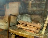 Ratten 1