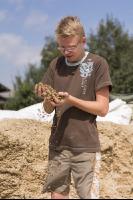 Maissilage