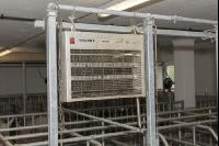 Elektrische Fliegenfalle