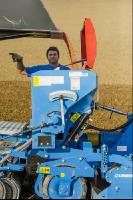 Weizen Saat 163