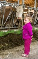 Kinder im Kuhstall 4