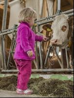 Kinder im Kuhstall 2
