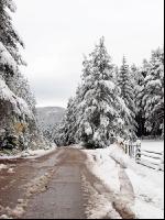 Wintereinbruch 16