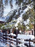 Wintereinbruch 15