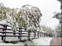 Wintereinbruch 14