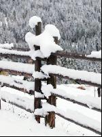 Wintereinbruch 10