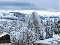 Wintereinbruch 4