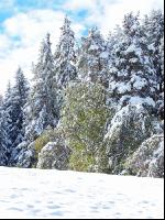 Wintereinbruch 3