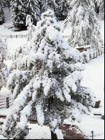 Wintereinbruch 2