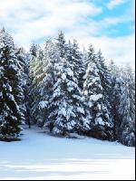 Wintereinbruch 1