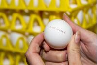Eier Sortierung 27