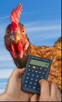 Laying hen costs
