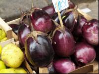 Aubergine 5