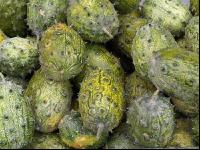 Kiwano