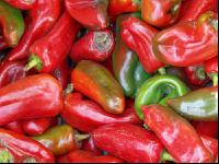 Paprika 18