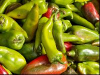 Paprika 19