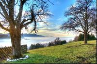 Nebel im Tal 22