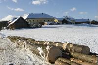 Holz laden 37