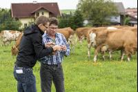 Auf einer Koppelweide 11