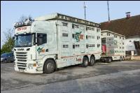Ferkel Transport 10