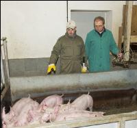 Ferkel Verladehalle 16