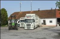 Ferkel Transport 2
