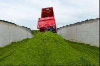 Fahrsilo Grünschnittroggen 12