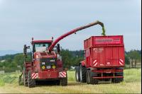 Grünschnittroggen häckseln 12