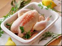 Huhn gewürzt 3